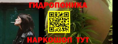 скорость Жуковский