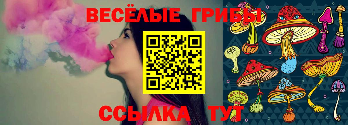Люберцы  Псилоцибиновые грибы прущие грибы  Вход с VPN  Галлюциногенные грибы прущие грибы 